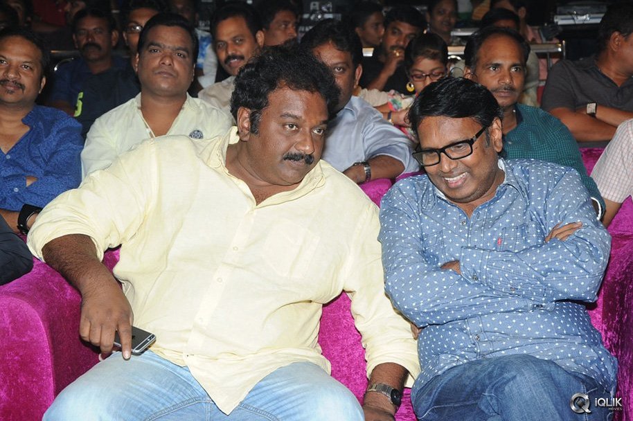 Hora-Hori-Movie-Audio-Launch